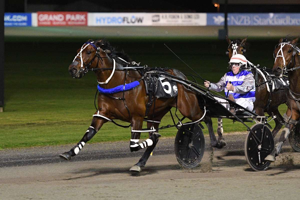 Captain Moonlight (NZ) (Always B Miki) got the chocolates at Alexandra Park on Friday night.🌛

The 3YO gelding carries the silks of Pencarrow Stud, alongside Daniel Nakhle and Greg Tomlinson in the ownership group. 

Read the full article here 📰:  pencarrowstud.co.nz/news/cross-cod…