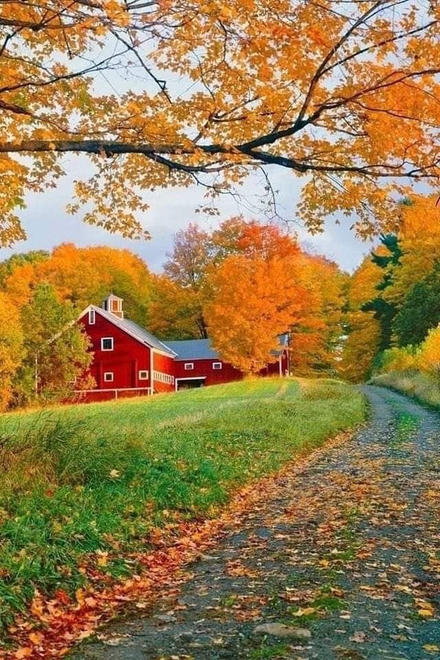 O October….
Season of poetry,
Of the total daring of starting 
One’s life  at every moment anew..!!!🍂🍁

#اردو_زبان