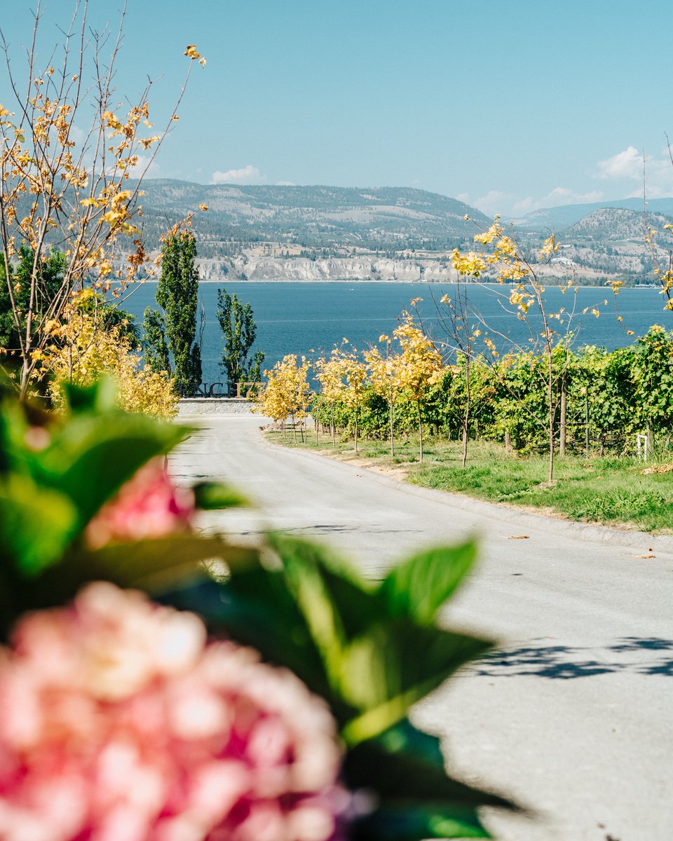 Bench 1775 Winery tweet media