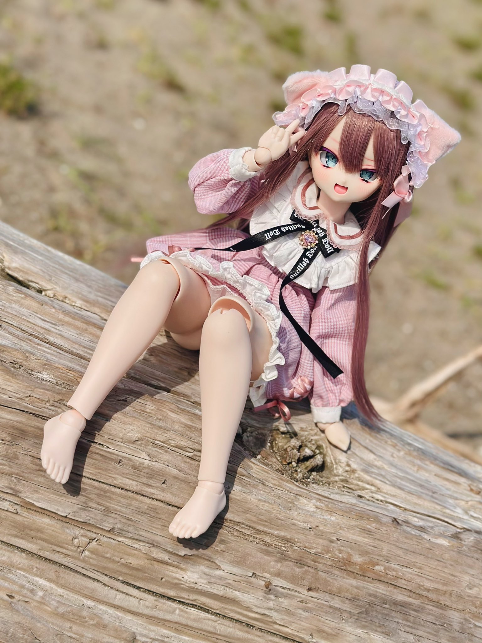 めるちゃん様❤オーダー❤お腹ぽっこり♡可愛い猫ちゃん♡アートドール♡ぬいぐるみ♡ お腹ぽっこり♡真っ白子猫ちゃん♡ベビー♡アートドール