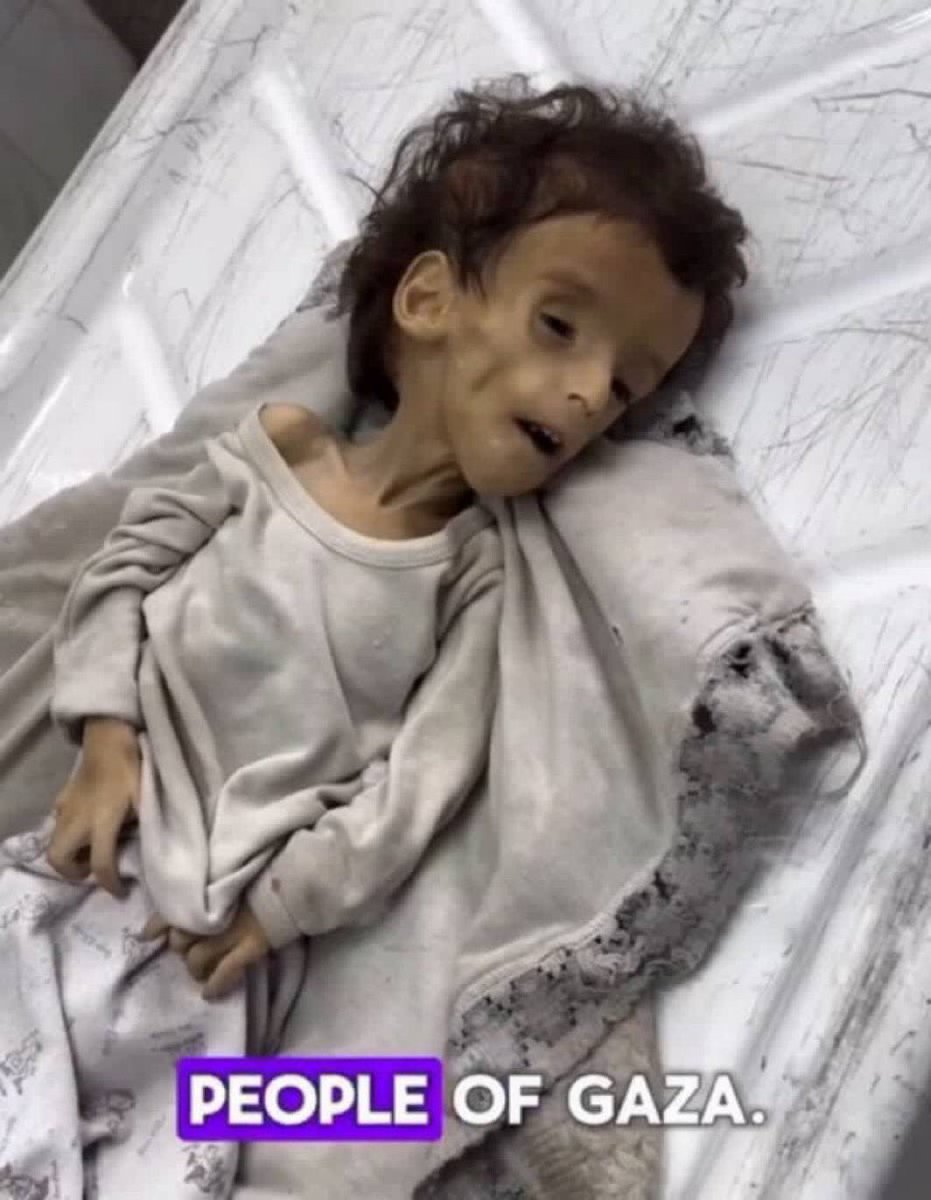 Dr.Motaz🍉🇵🇸 tweet media