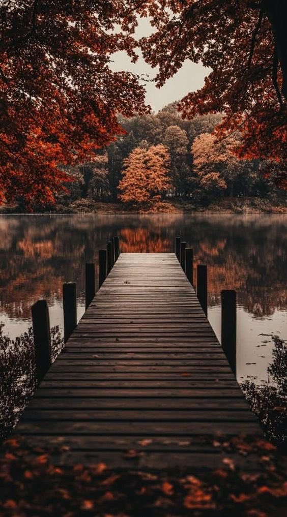 تٌركي."🖤 tweet media