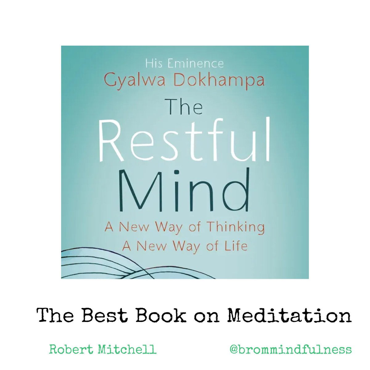 meditationclass's tweet photo. We all learn in different ways. For some of us, reading a book is especially useful for learning about a subject. Right now, the best book on meditation is The Restful Mind by Gyalwa Dokhampa.

If you're a book reader and you're interested in meditation, I highly recommend this. I have had great responses from my students. It's available from all the usual places.

This is absolutely the best book on meditation. It is simple, clear, and explanatory. The author is a Buddhist Meditation Master and monk, but he writes from the perspective of the modern mind and modern life.