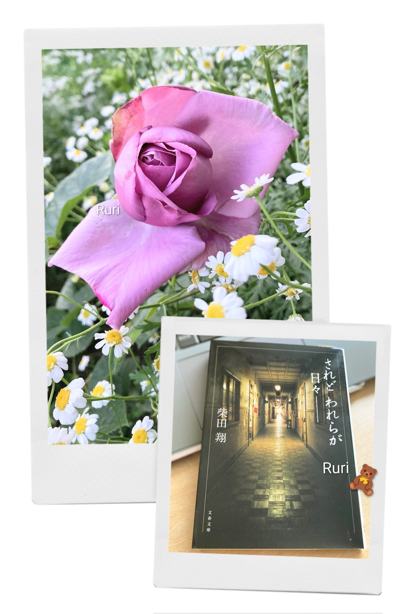 Ruri💍 (@ruri03291) / X