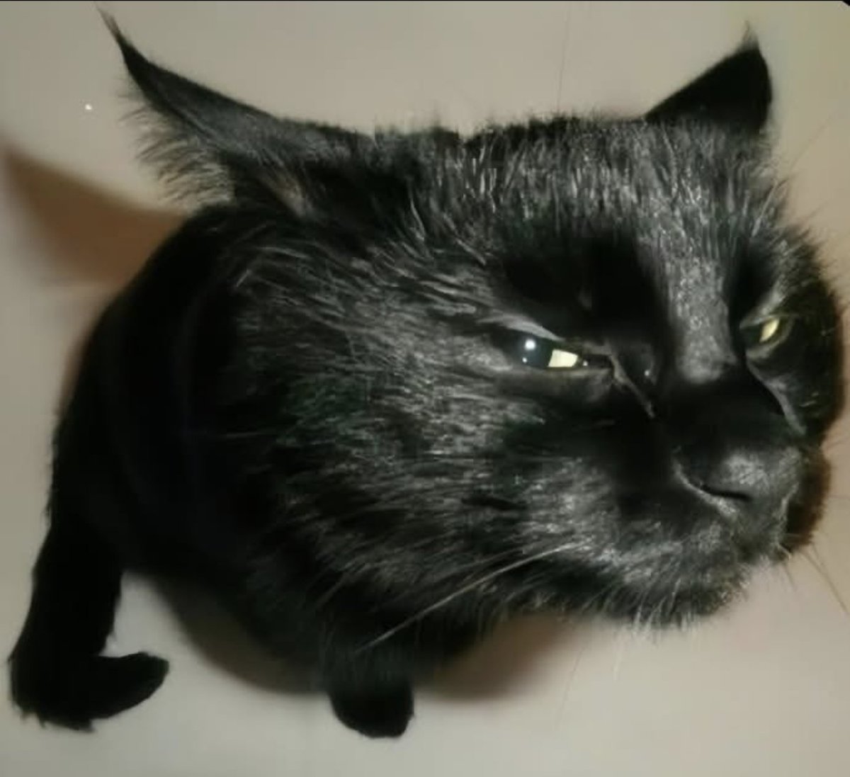 Selling CATs?? In *this* market?