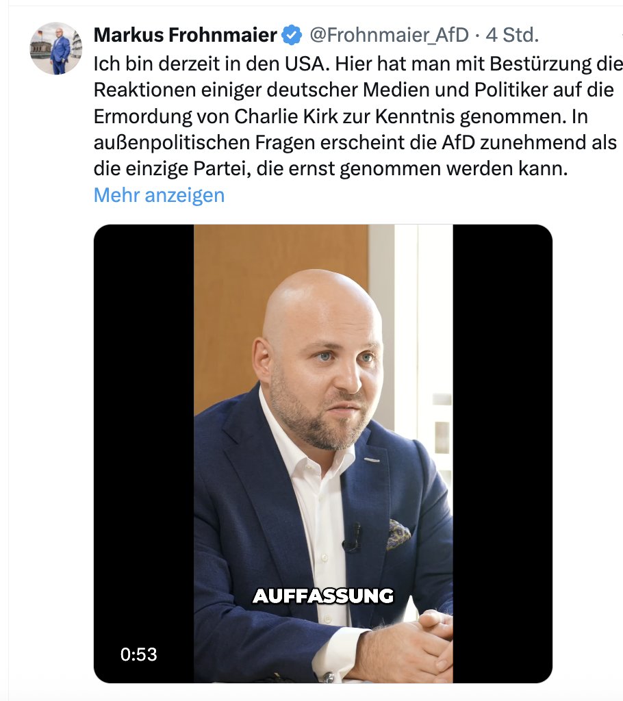 AfD fährt in die USA, um zu petzen. Erbärmlich.