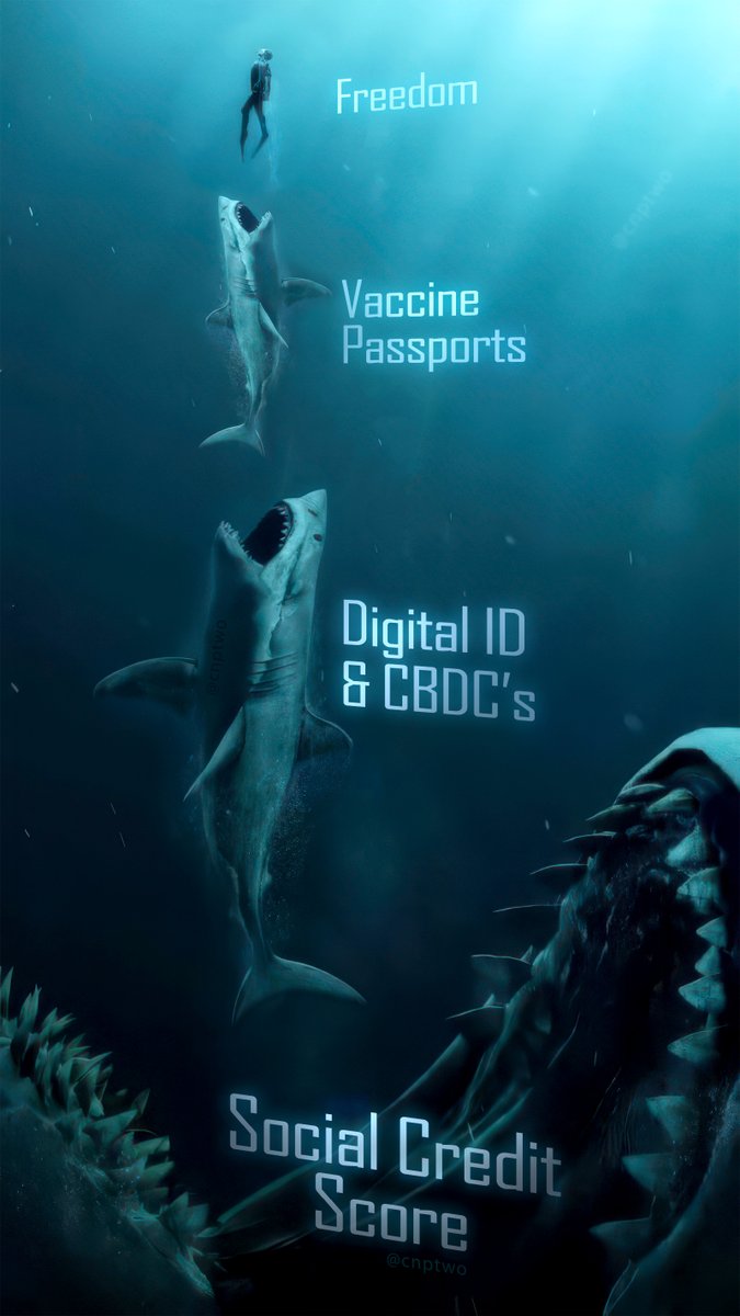 CNPone's tweet photo. Digital ID, CBDC's, Social Credit Score https://t.co/nHhaF7XjtV