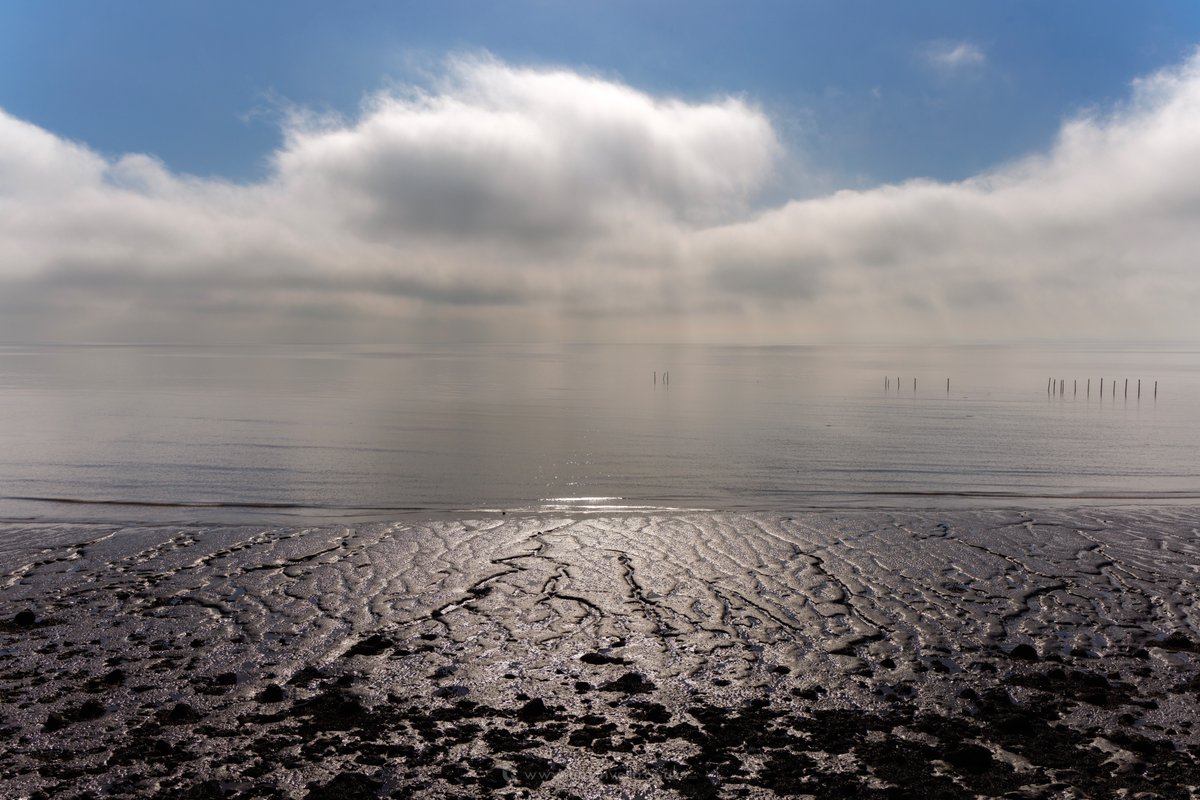 GmusicV's tweet photo. Goldcliff point this morning was stunning in the fog but it didn't last very long, burning off quicker than I could find a composition but I did like this one as the sun broke through, leaving distant light beams thru the fog over a glass estuary #gwentlevels #landscapes #nature https://t.co/IxrMwsda2j