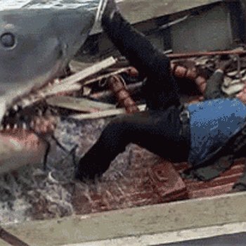 Scott Reid tweet media