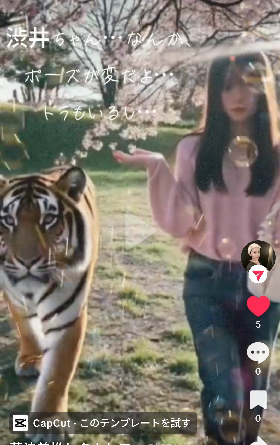 要問合わせ♥️レア♥️本物みたい！ディスプレイ　トラ　タイガー　タイガース Tigers.tak809 (@Tigers_tak809) / X