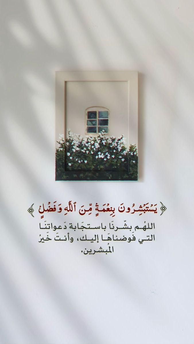 Jamal basem tweet media