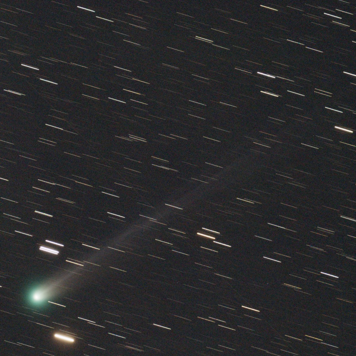 ふぶぶ (@fububu) / X