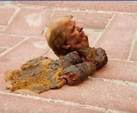 screamingparrot's tweet photo. @RpsAgainstTrump https://t.co/O228A4hJDZ