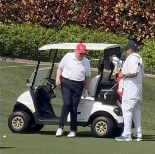 The Solutions Party tweet media