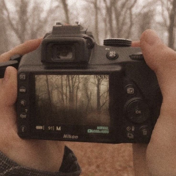 𝐢𝐧𝐝𝐢𝐠𝐨 ᵃˡᵗ ✨ tweet media