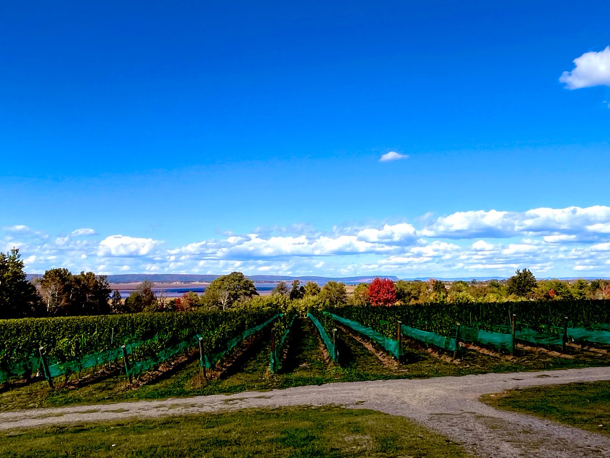 FancyCaroline's tweet image. The Valley experience.  Oh, and Brooke Shields was at the next table at the restaurant. 🤩