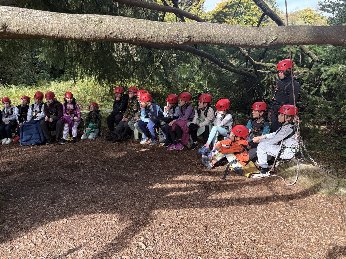 Stoke Hill Fed tweet media