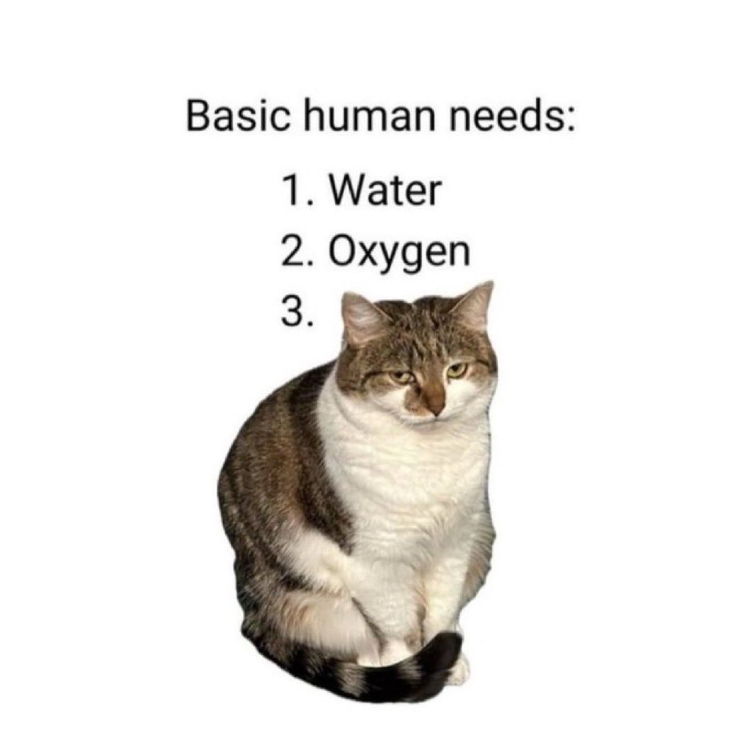 <a href="/prplhayeshz/">🐐</a>