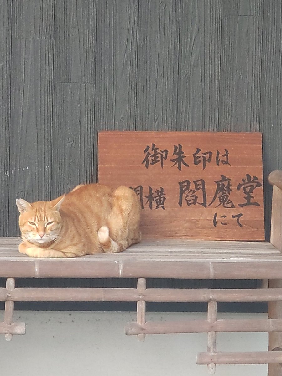 10月からの御朱印期間開始

御朱印案内課【課長】の
責任感は凄い！

すでに待機中！

誰よりも早く出勤して
誰よりも早くどっかに行く。

おまけ
かまぼこ兄さんも周辺にいます。