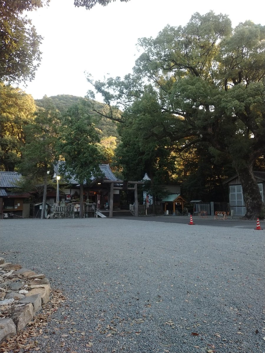 totymne's tweet image. 行って参りました朔日参り！
9月後半と比べても朝は涼しくなりましたね。でも日中暑いかな😅

今回珍しくカラス複数羽たむろ。目が合うとマズいと撮らなかったけども怖っ💦

そしてカレッタ前の道路キレイになりました✨

#美波町
#日和佐八幡神社
#朔日参り
#うみがめ博物館カレッタ
#今月のカメさん
