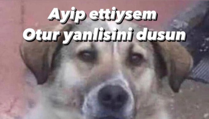 gülsümeşsizoğlu (@gessizoglu) on Twitter photo 