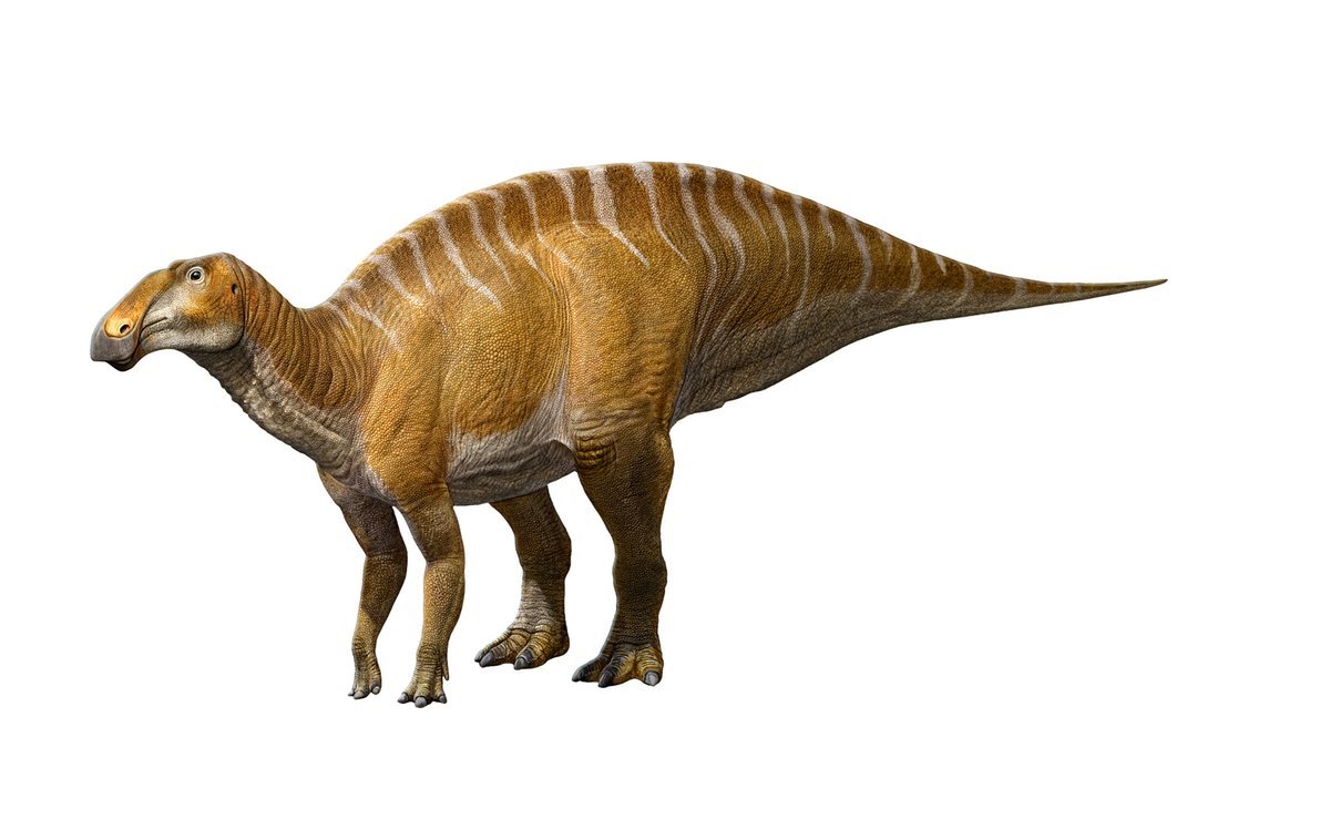 Sergey Krasovskiy tweet media