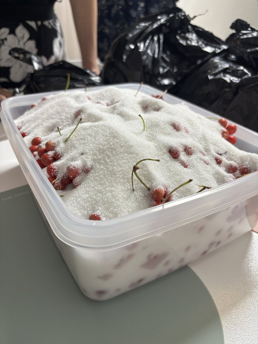 今回の旅の目的は京東市場で生の五味子を買って、砂糖漬けにして持ち帰ることでした。
市場で無事に五味子を発見できて大喜び😆
宿に戻ってタッパーに入れたらぴったりサイズで大満足😆