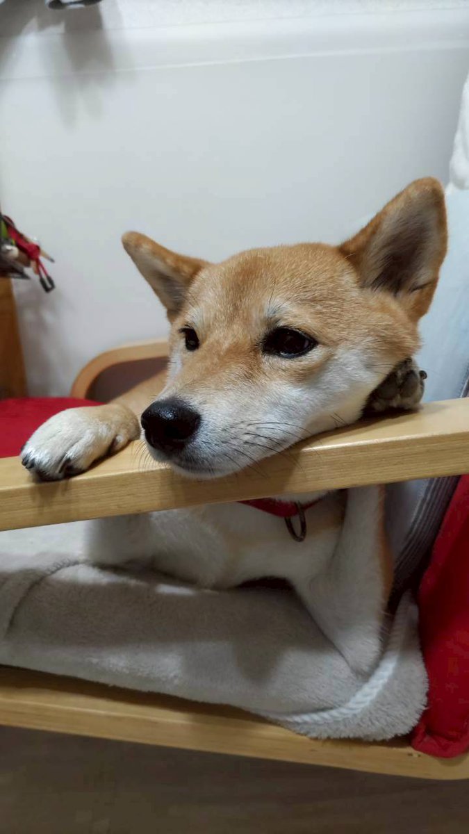 もしも〜し。今日1日雨だって〜どうする？☎️