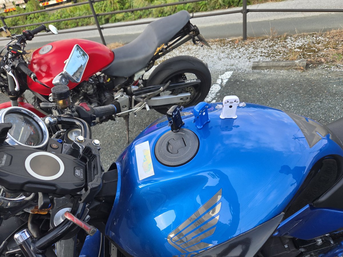 harujunko1112's tweet photo. 初自走してミーティングに参加しました～🏍️
行くまでに信号待ちで2回もエンストしましたがみんなに見守ってもらい楽しく走れました🎵
楽しかったけど体がガチガチになって痛くなったな(笑) https://t.co/qWNQOGZUVa