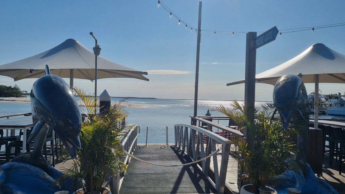 Welcome to my office. 
It's time to find some whales and dolphins! 😍🥰😍