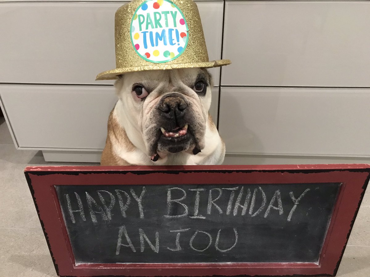 Happy Birthday Anjou <a href="/AnjouPug/">Anjou & Hendrix</a> 
16 is AWESOME!
🥳🥳🥳🥳🎂🎂🎂🎂🎁🎁🎁🎁