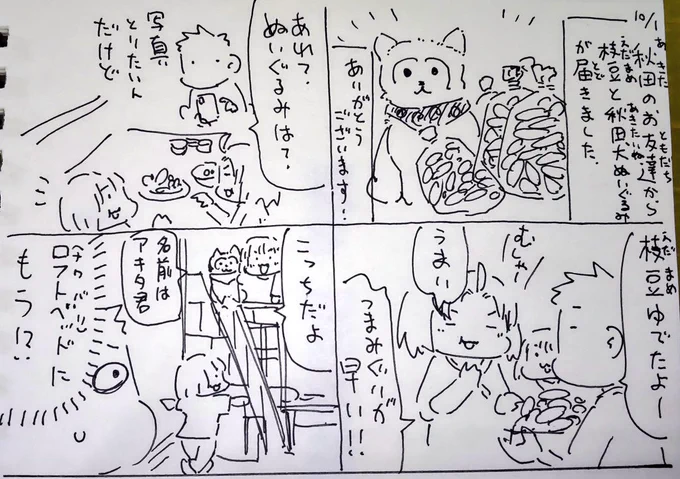#本日のむすめさん
猫派のむすめさんが随分気に入っていました。秋田犬かわいいよね。枝豆もおかげさまで好物になりました。 