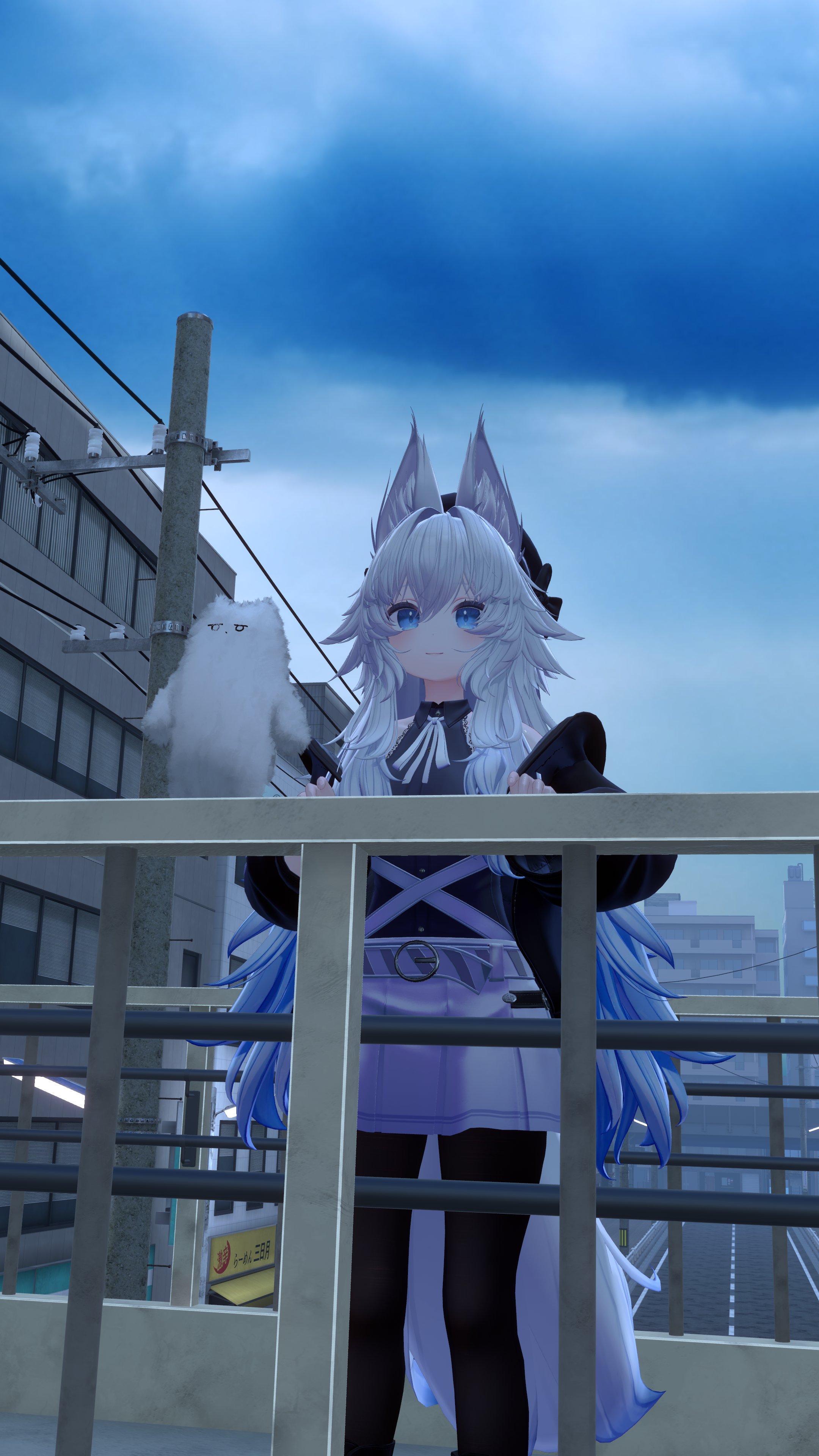 Tweet Image