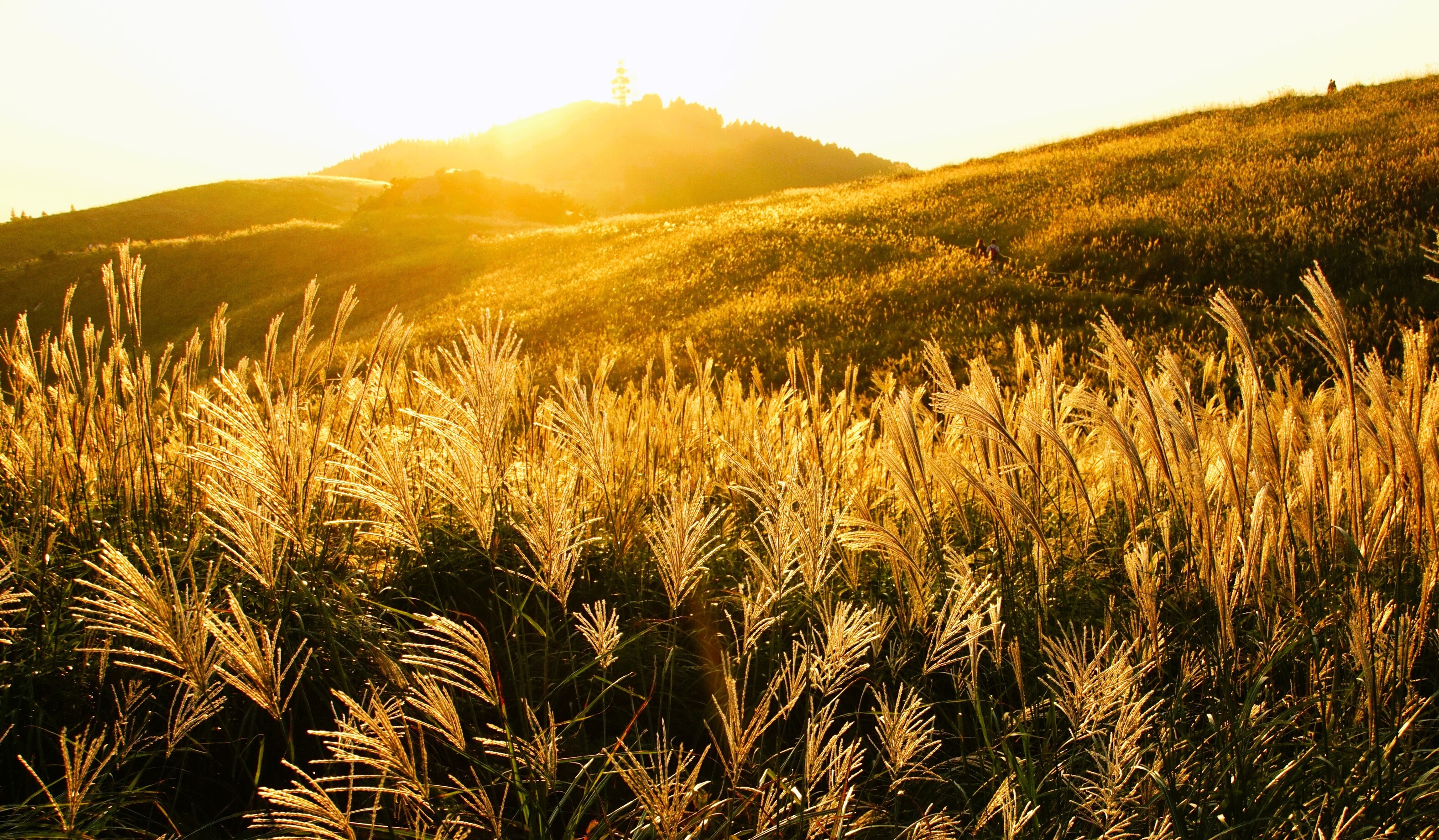 エアトリ【公式】 on X: 