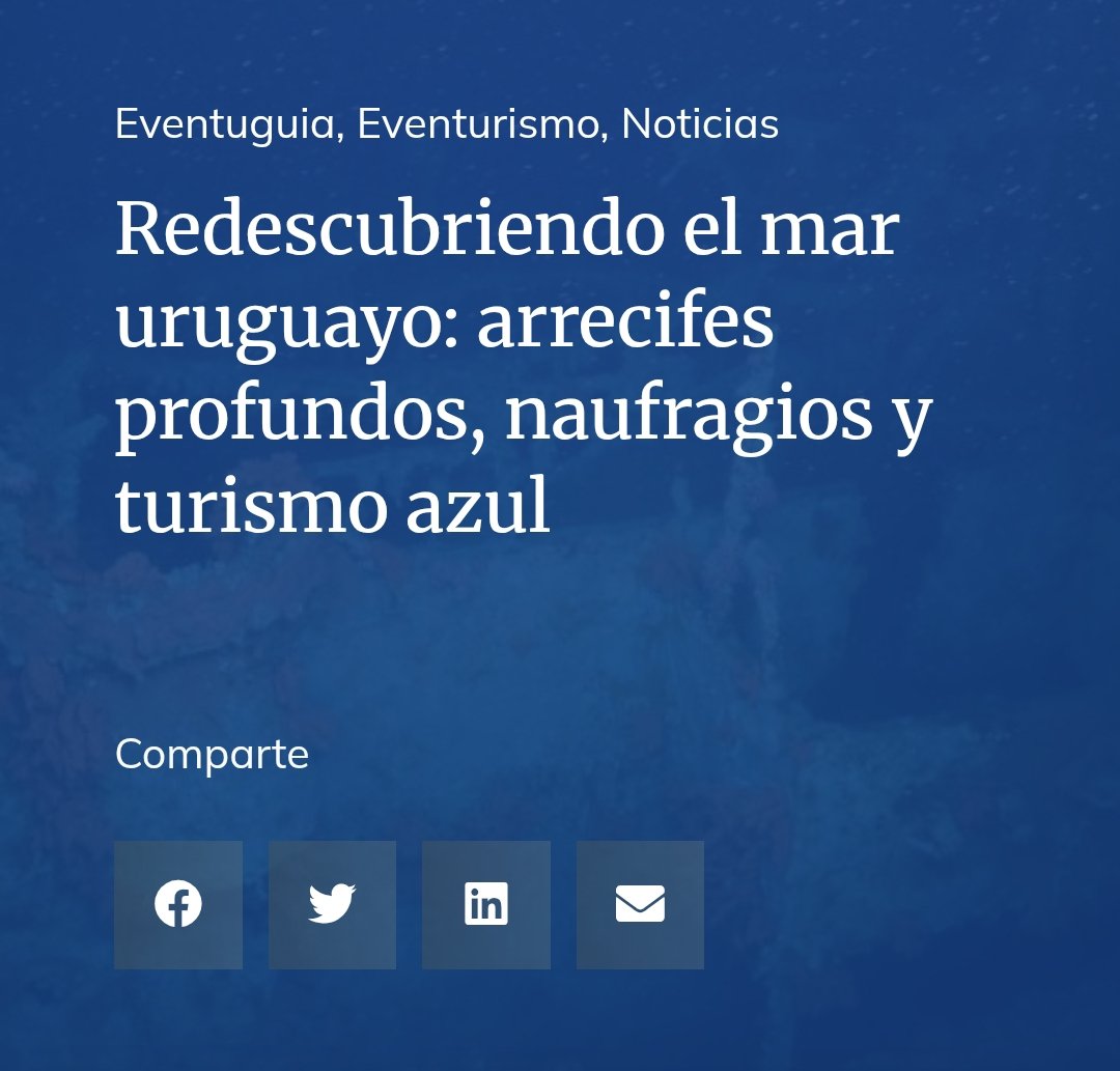 Redescubriendo el mar uruguayo: arrecifes profundos, naufragios y turismo azul
eventurismo.com.uy/redescubriendo…