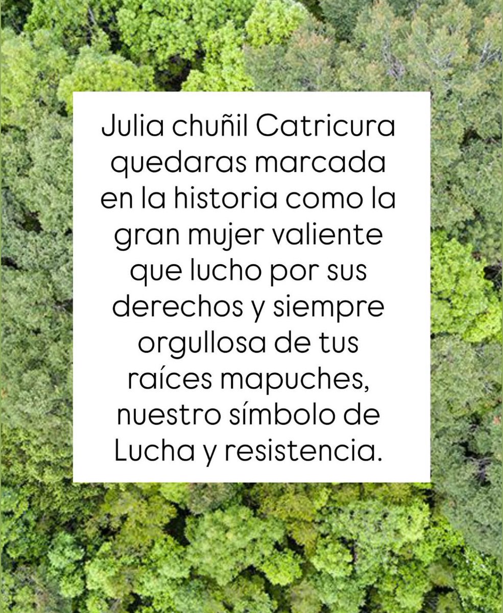 Paulilazog's tweet image. Justicia para Julia Chuñil! 🖤