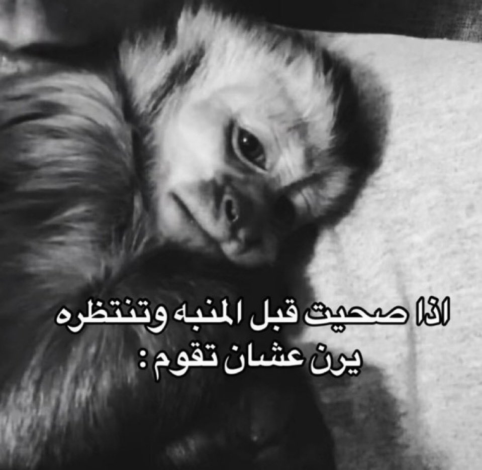 8oIIr's tweet photo. حصل والله)). https://t.co/pNLUgL3xPq