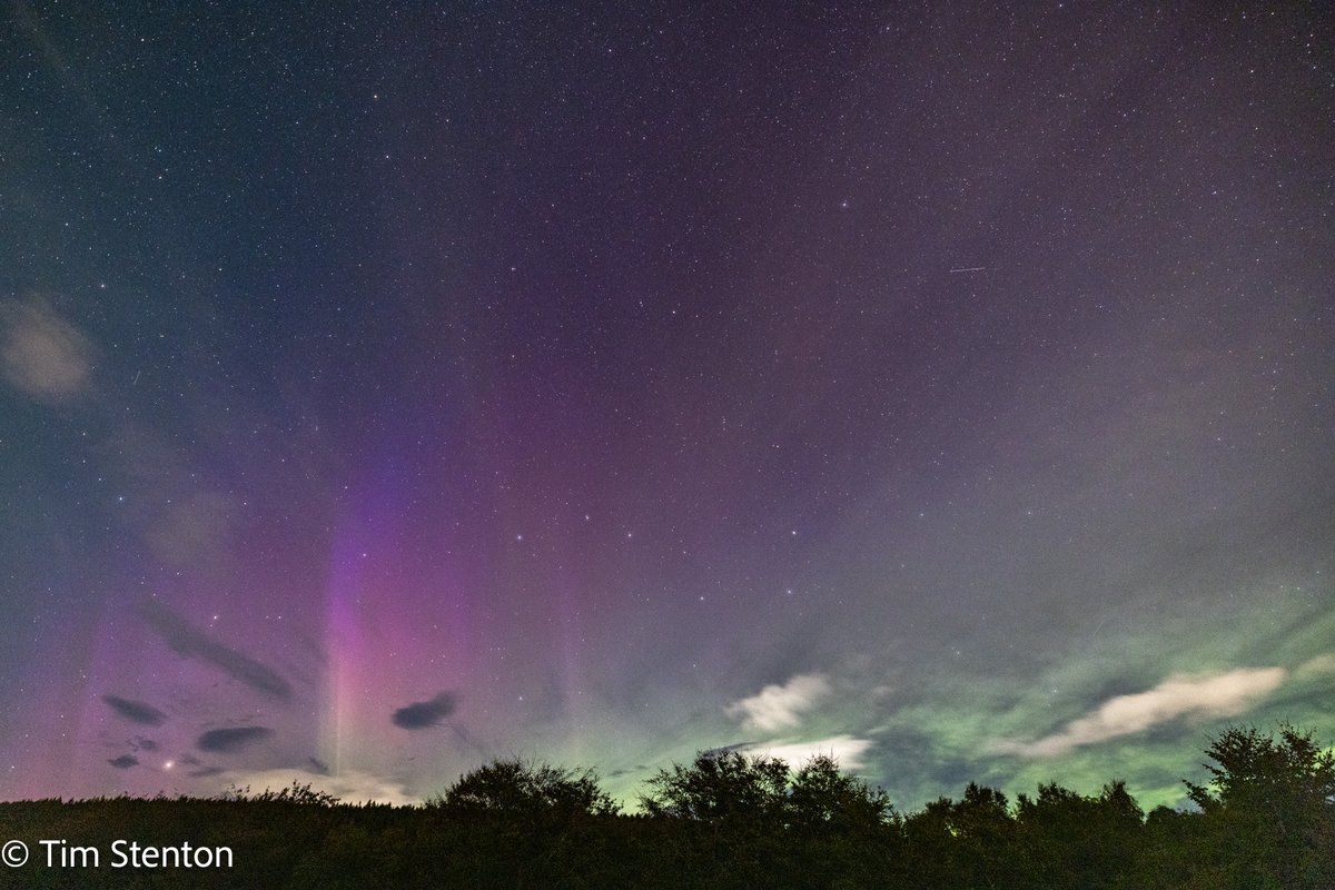 DolphinViewHillockhead Tim Stenton tweet media