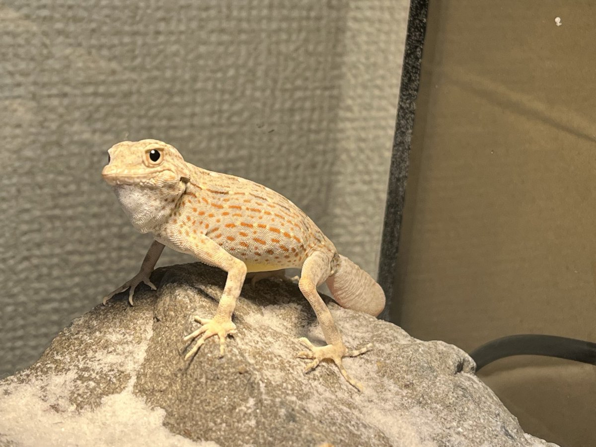 やっと冷房なしで寝れる
嬉しい。ずっと秋がいい