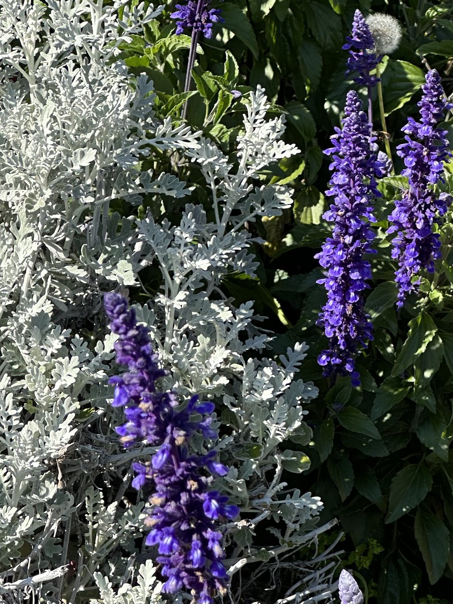 Muleskinner Journal Presents TENSION, our fifteenth journal

muleskinnerjournal.com/journals

#writingcommunity #litmag #flashfiction #literature #writers #fiction #fictionsubmissions #fictionwriter #poets #poetry #poetryjournals