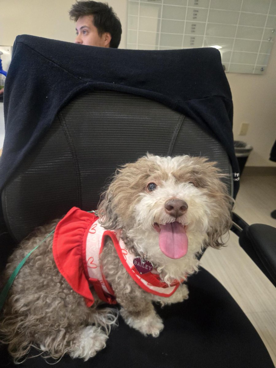 UTSW Veterinary Research and Oncology Clinic tweet media