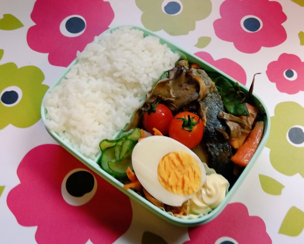 本日のお弁当🍱
・鱈の香草焼き
・三度豆と人参、舞茸のエスニック炒め
・キャベツと人参の酢漬、胡瓜のサラダ
・ゆで卵
・ミニトマト

クミンとコリアンダー豪快に使ったwww

#お弁当記録 #お弁当日記 #おいしがうれしが #lunchbox