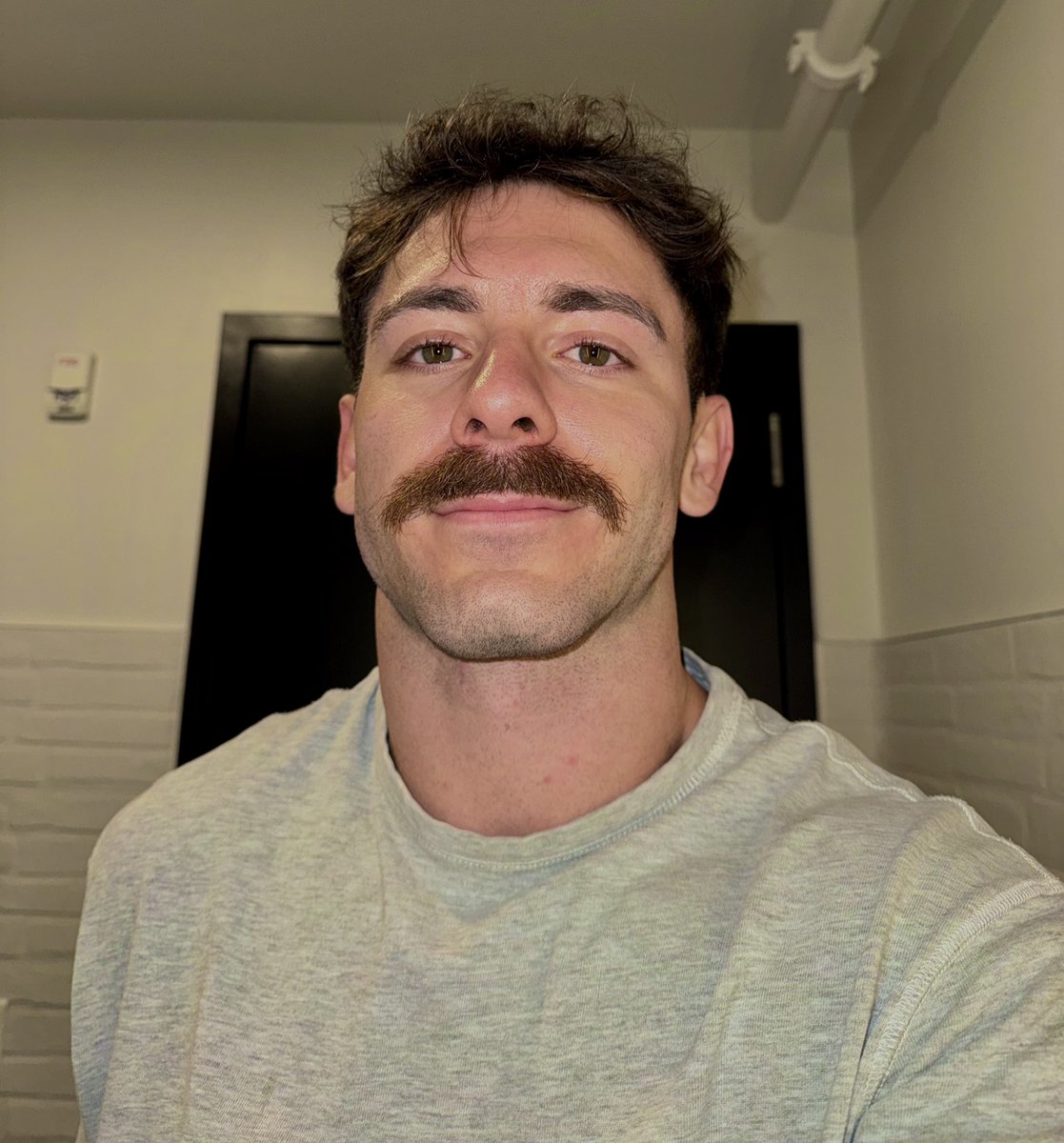 Austin Day tweet media