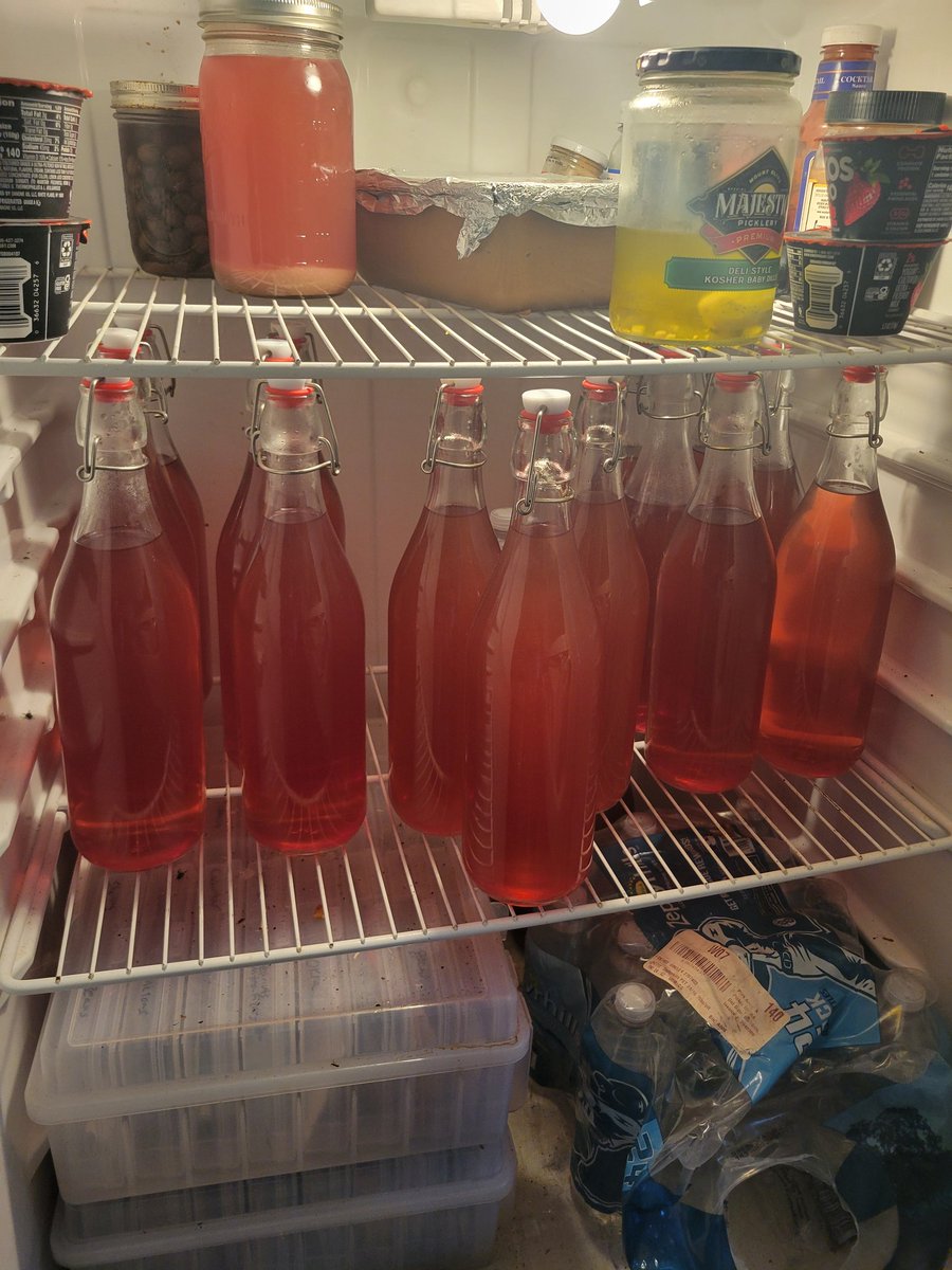 DixieWASP's tweet image. It's that time of year again, this year it's Muscadine/Scuppernong blend (lighter palate, a hair more acidic). And it hits like a mack truck.
5 gal, 4 gal bottled.