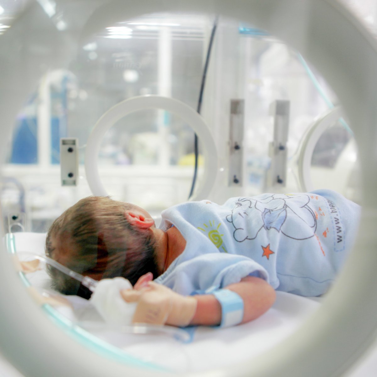 Monash University School of Clinical Sciences tweet media