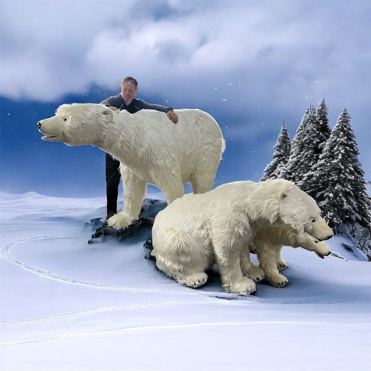 Nieuw in voorraad 3 luxe ijsberen met vacht levensgroot 
-
#polarbear #decorstukken #ijsberen #verhuur #winter #winterdecor #ijsbeer #closetoreality #lifesize #huren #luxury <a href="/Carecaverhuur/">Carecaverhuur</a>