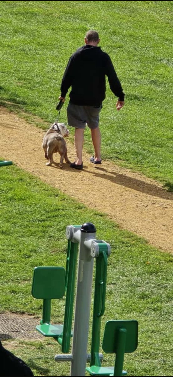 f9tss's tweet photo. 🚨 PLEASE SHARE 🚨
On 24 Sept in Rectory Park (Northolt), my 3 year old niece was brutally attacked by a British Bulldog and undergone major surgery 💔 The dog’s owner ran off with his dog. 

Police have not been proactive in helping at all! https://t.co/iAh2UhCUTq