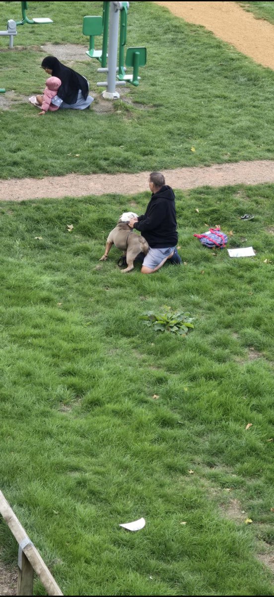 f9tss's tweet photo. 🚨 PLEASE SHARE 🚨
On 24 Sept in Rectory Park (Northolt), my 3 year old niece was brutally attacked by a British Bulldog and undergone major surgery 💔 The dog’s owner ran off with his dog. 

Police have not been proactive in helping at all! https://t.co/iAh2UhCUTq