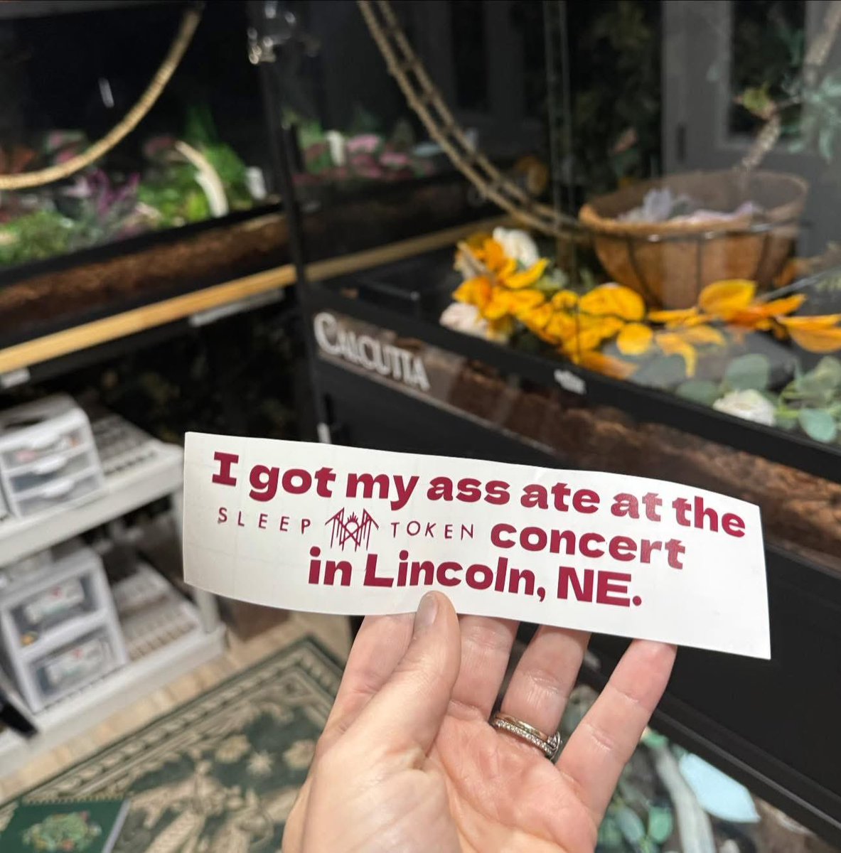 Thornhill tweet media