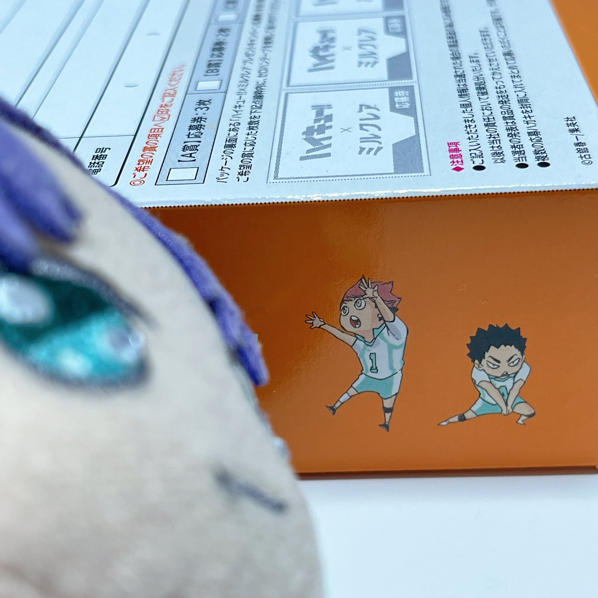 コラボしてたよ🏐